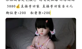 猫家catdoll已经难搞了，这个高仿怎么样？
