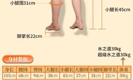 小白求救，腿模怎么选