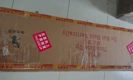 （已出了）4200出shedoll正品165仿生皮纹全松骨架爆汝，2.0仿真口腔开合下巴。