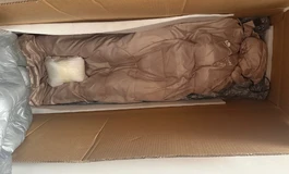 sigafun165t身体 加莓莓头 开箱
