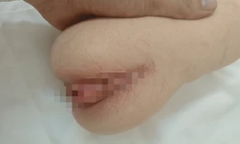 avadoll降敏飞机杯开箱测评