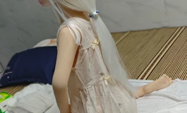 出一个，个人tpe二次元娃娃