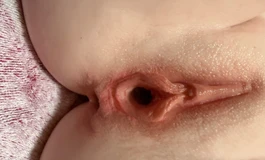 出fudoll 95半身