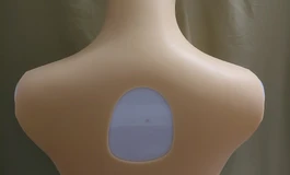硅趣城版本号23-1硅胶义乳(售价两百多)