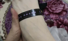 【已出】Sasha.J至臻仿真足模500带走