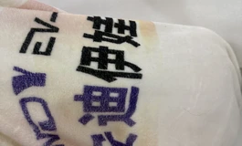 安迪娃娃