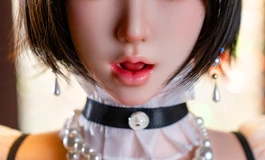 私人女仆的服侍记录
