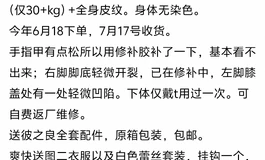 出彼之良2.2L肥婆单身体