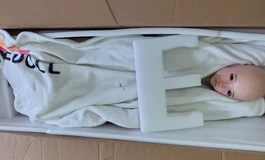 1400出shedoll洛小已2.0仿真口腔开合下巴，tpe身体，原包装箱。