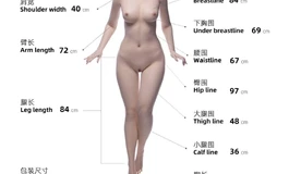 铁家166单体