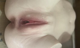 臀模