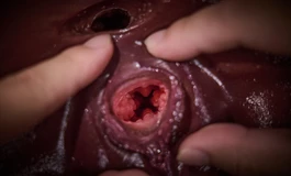 可以模拟处女出血的潘多拉