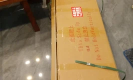 重生之成为如烟大帝前我穿到娃娃身上苟活