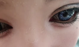 “追梦曲葵叔”娃圈最大的畜牲