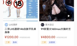 1200出二手LAS漫研146白肤平乳单身体
