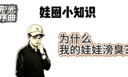 【形光序曲】解密！！！为什么我买的娃娃滂臭？