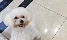 😭有没有大佬送我个硅胶款倒模或低价转让，邮费可以自己出