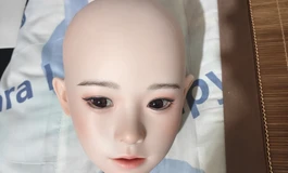 出手fudoll家的娃(已出）