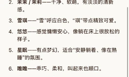 暴雨科技毕业款001，白露