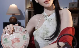 茶中自有红颜知己《茶艺师，第二篇》