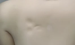 出两个tpe小娃打包700