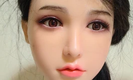 顺丰包邮暴雨科技猫5头再送2个头