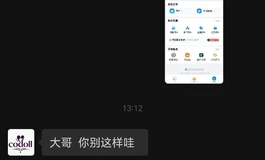 蓝天二手娃娃，全是司马骗子，大家千万不要相信