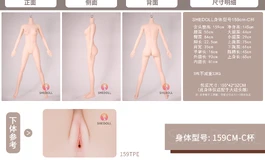 大手脚、馒头穴一线天，Shedoll第一款馒头穴御姐体型159C来啦！