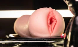 shedoll 飞机杯了解一下