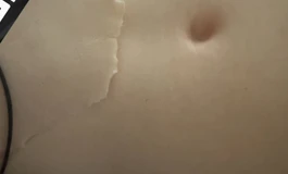 shedoll 163松骨架皮纹单身体 1500