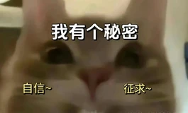喜欢的人未必喜欢你，但喜欢的东西你买了就属于你了！