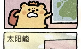 头发  植发头掉发问题