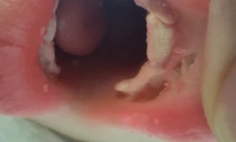 测评贴！！（晓鸟家学妹款三通）