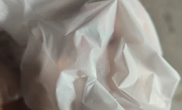 测评贴！！（晓鸟家学妹款三通）