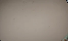 出个奈也生鱼片一号（已出）
