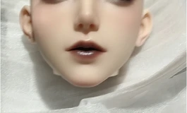 已出1777出学姐摩羯座头雕，有口腔，无掉妆未使用