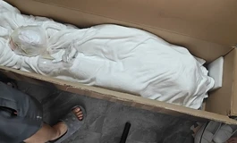 新娃开箱纨吞152奈绪！