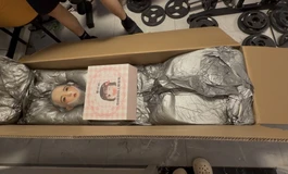 shedoll 江小婉 紧骨架 全硅胶 158C 2号妆