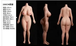 这两款巨乳娃真带劲，不知国内有卖的吗？