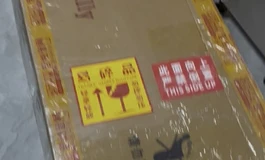 #shedoll娃娃