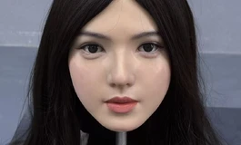 出全新佳米硬头