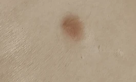 安迪伊娃162 视频看货➕介绍 记者勿扰