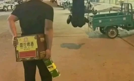 收一个闭眼知夏头