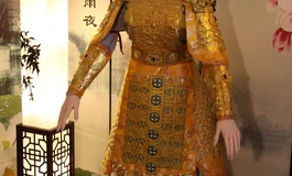 星彩的华亭鹤金甲