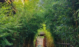 洋县的美好回忆-黑稻田鹮芗酒店三日两夜（娃娃学姐175摩羯座）