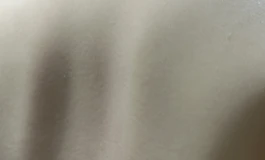 全新微瑕安迪伊娃同款166现货