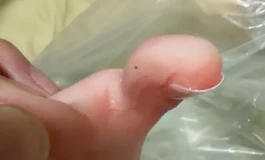 新手求指点