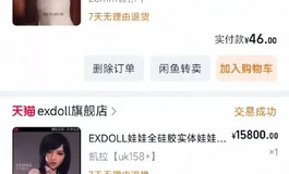 exdoll 158，天花板