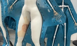 【娃娃指南一】实体娃娃的金属骨架和关节松紧，比颜值更影响体验