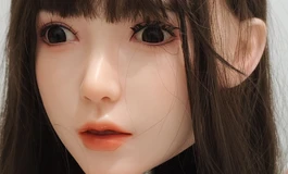 SHEDOLL的163 37公斤